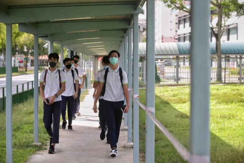 新加坡今年骨痛热已有28例死亡!和新冠一样多!症状更可怕