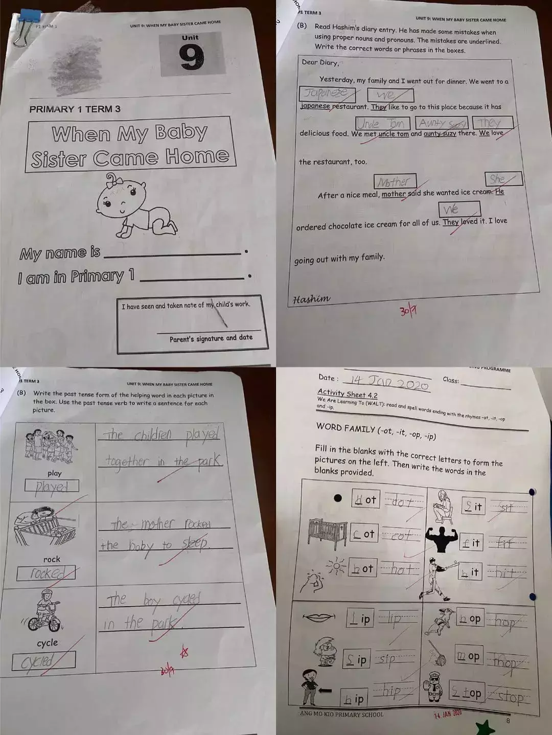 新加坡小學到底在學什麽?看完驚呆了