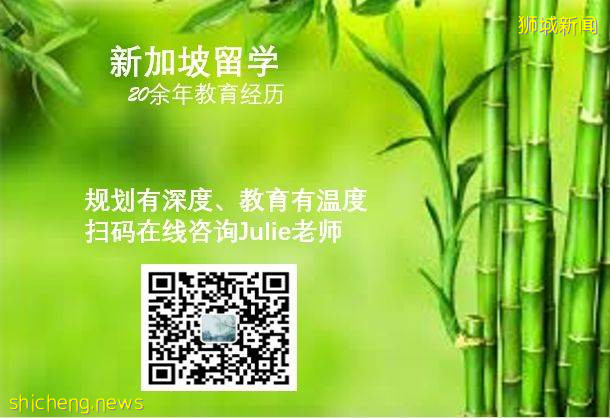 【新加坡留学】非盈利国际学校里的选择