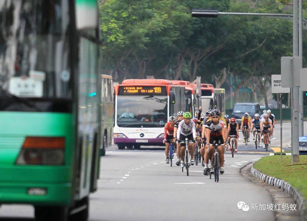在狮城你我都得让路的公路一族:驰骋追风的自行车骑士