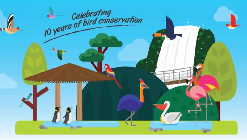 新加坡裕廊飞禽园免费开放10天