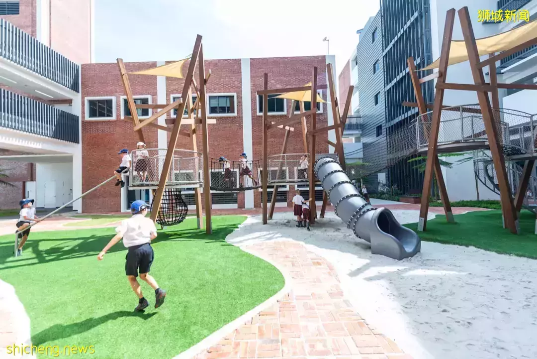 史上最強攻略!在新加坡如何選學校?國際學校vs政府學校,哪個好