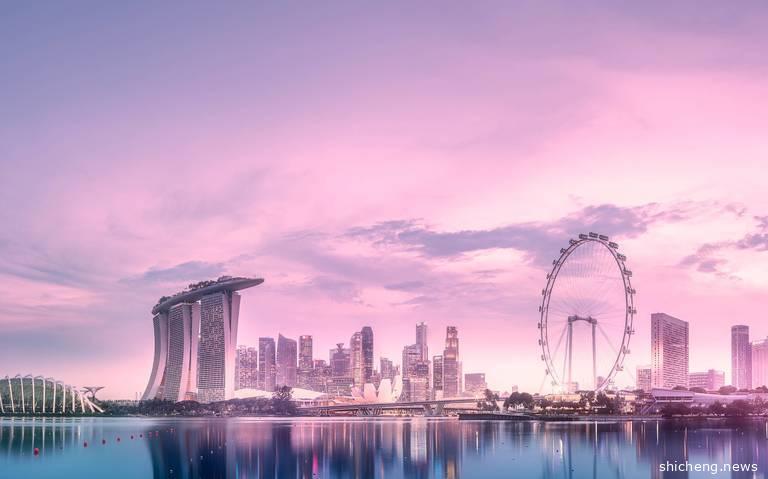 我想送孩子到新加坡读书，该怎么选择学校