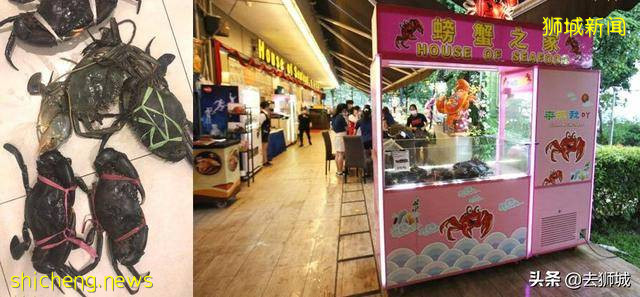 被一支口罩“揭发”的小偷，新加坡这个偷窃案破得太搞笑了