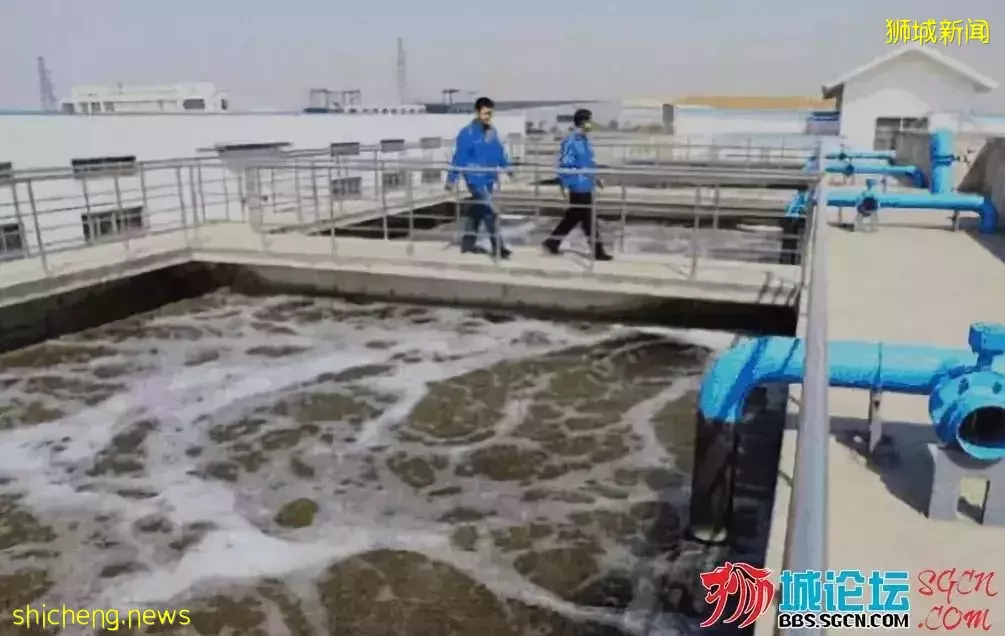 新加坡用沖廁水釀啤酒?各位小夥伴你能下得去口嗎