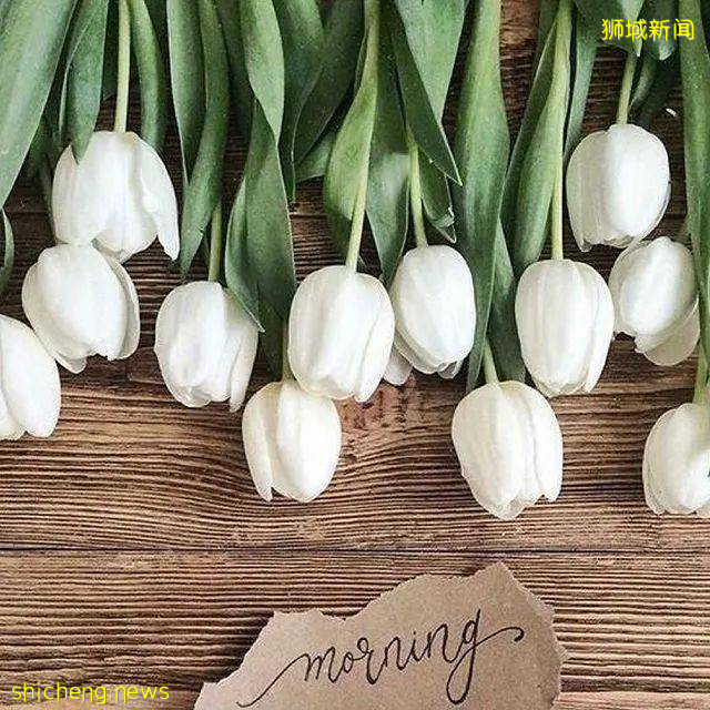 超劃算鮮花網購店合集!低至10新,全島免費送,1日內到付