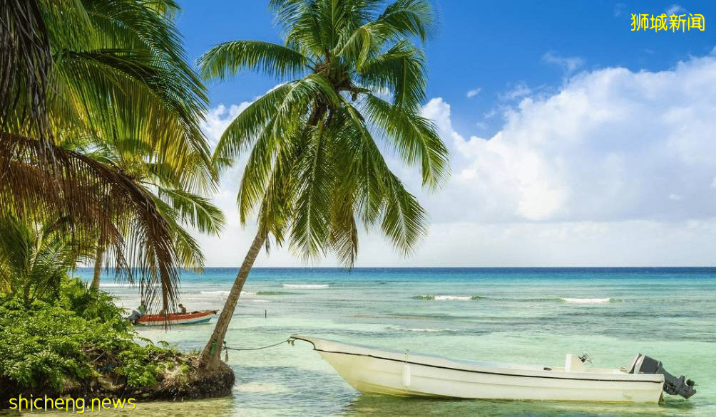 新加坡移民好移吗