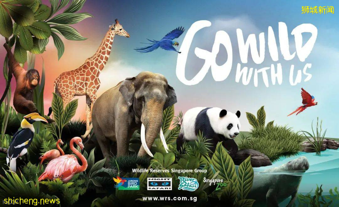 科小文獅城遊記之—新加坡動物園