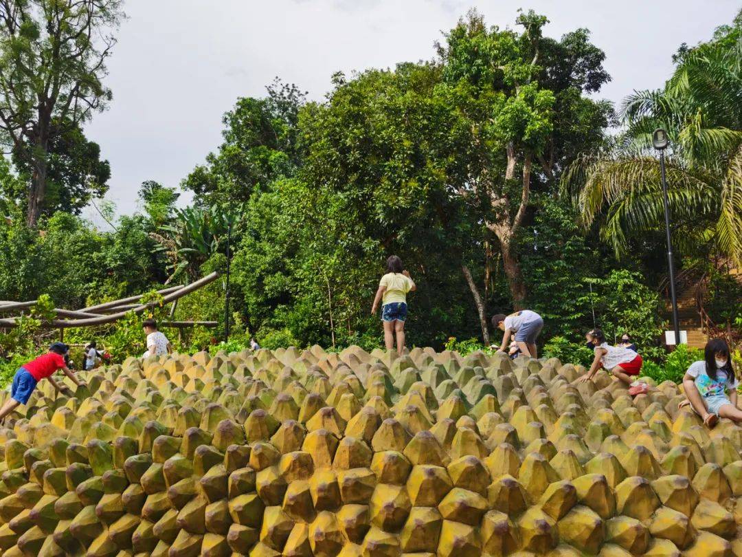 新加坡植物園爆火新景點,不知道怎麽去?手把手教你遊玩攻略