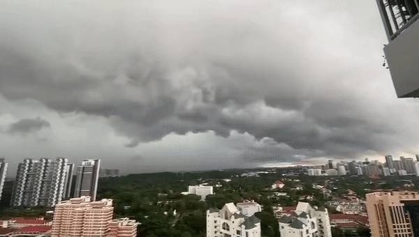 猶如世界末日!實拍新加坡被海嘯雲“吞沒”!暴雨、發大水、樹倒