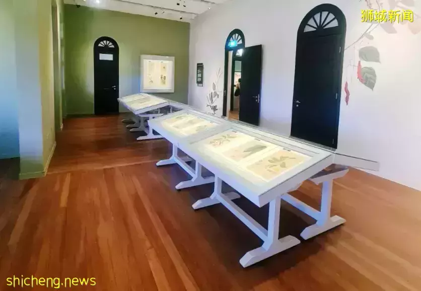 只租不卖的“神秘”房屋