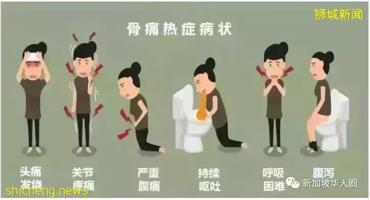 ​新加坡骨痛热症疫情来势汹汹，5%患者或会变重症，甚至可能死亡