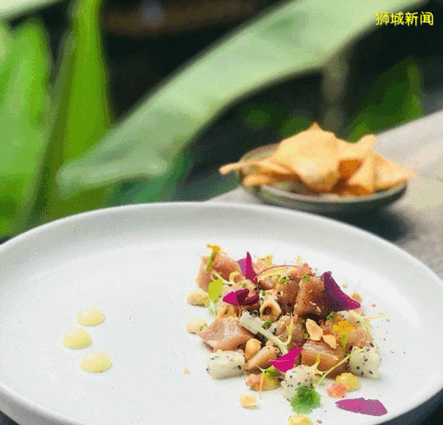 不出国也想要度假的感觉?坡坡有哪些值得打卡的热带花园café