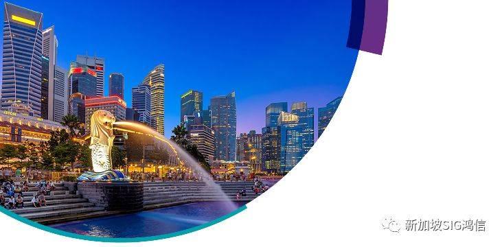 新加坡公司注册流程！您了解么