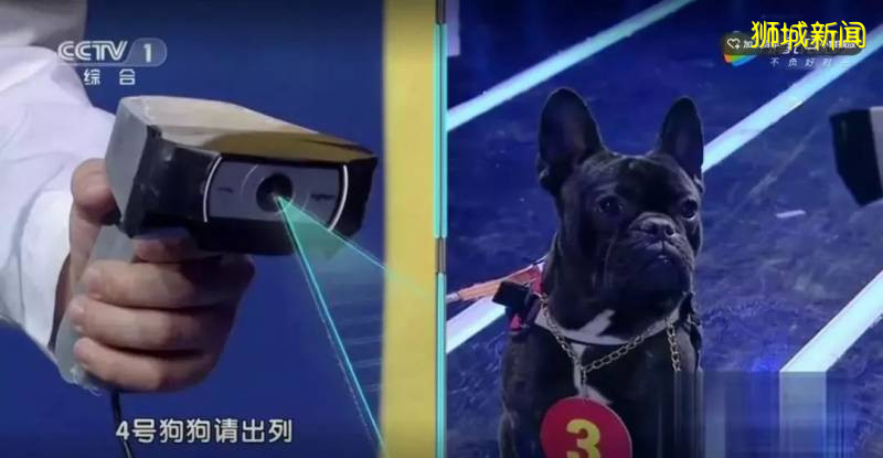 新加坡10万,全球4亿人失业!未来,这类孩子能稳操胜券