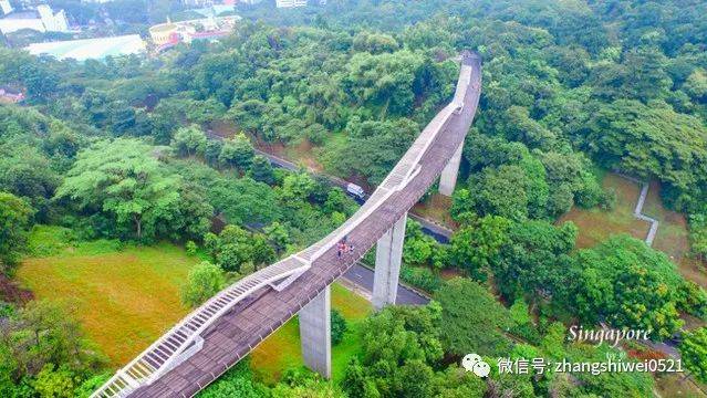 新加坡遊記系列 行走在南部山脊