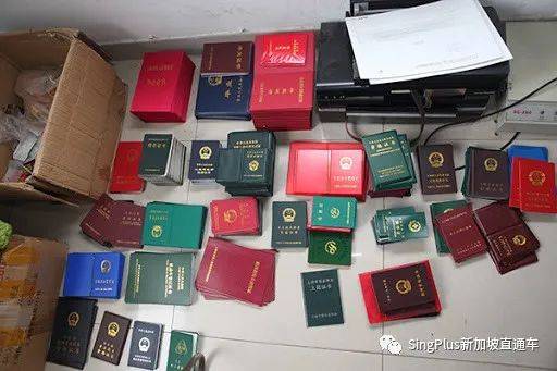 中国学生拿假文凭骗父母拿高薪?且看新加坡和中国如何打假