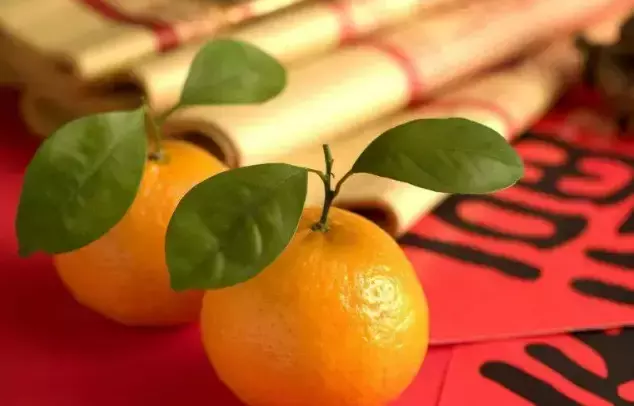 新加坡過年比中國還熱鬧！搶頭香、換新鈔、送橘子……你還知道哪些習俗