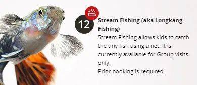 經營20年的新加坡“動物度假村”宣布結業，明年1月10日爲最後營業日期