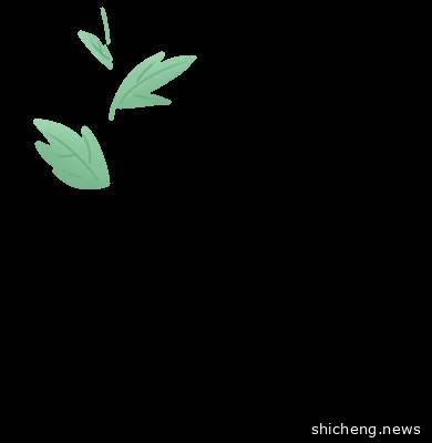 新加坡自由行（二）|景点续篇