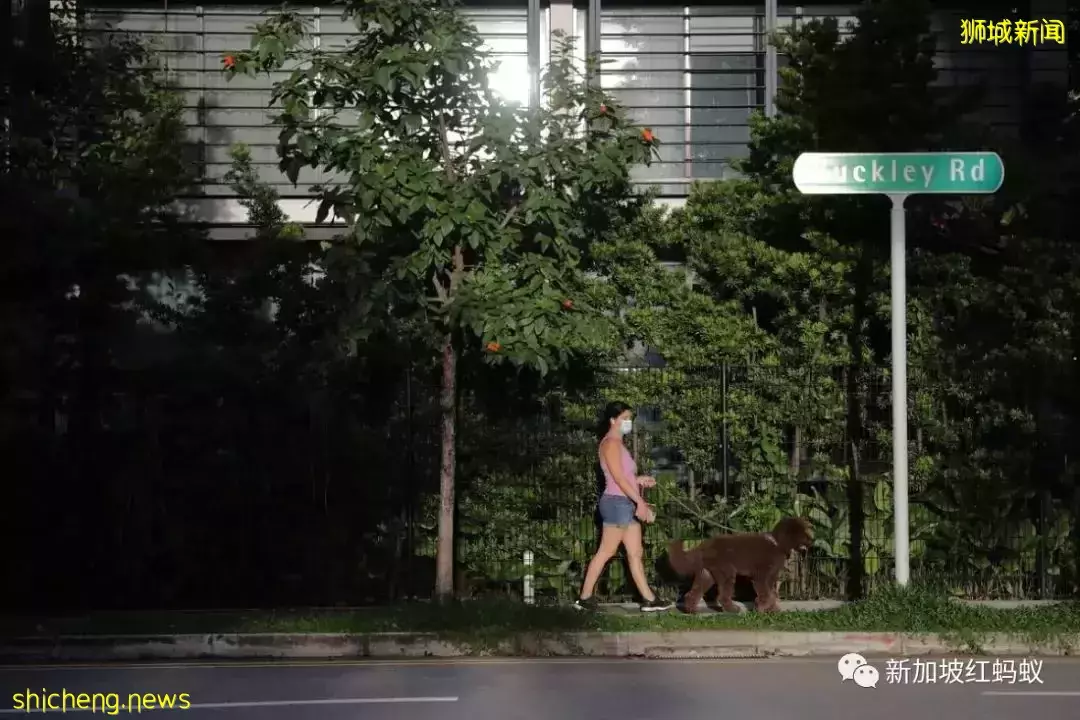 疫情好轉不再寂寞就遺棄喵星人汪星人？　多國出現棄養寵物現象