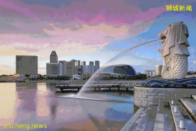 新加坡的精英教育到底有多牛？！全球競技場上的戰績說明一切