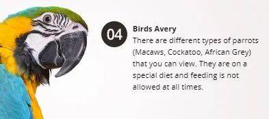 經營20年的新加坡“動物度假村”宣布結業，明年1月10日爲最後營業日期