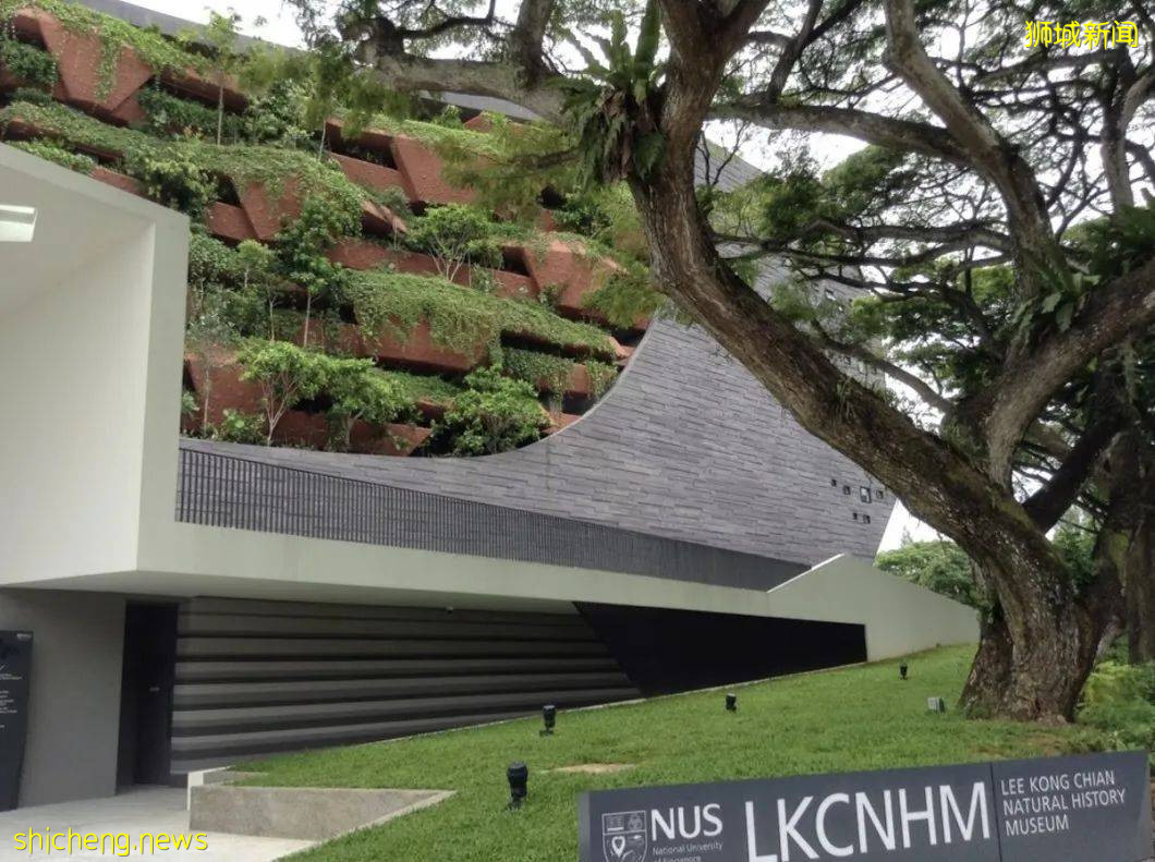 国大地图 一文掌握NUS校园分布