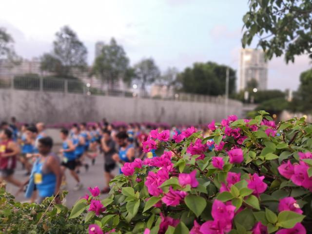 玩赛记:新加坡渣打马,夜游神出没,愈夜愈美丽