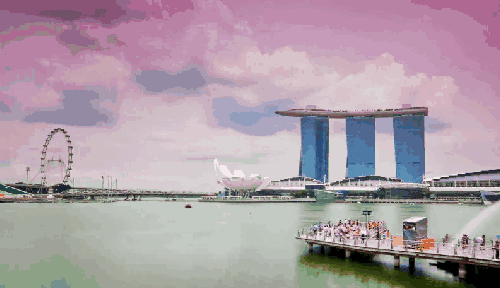 寿险|新加坡威权主义与定期寿险