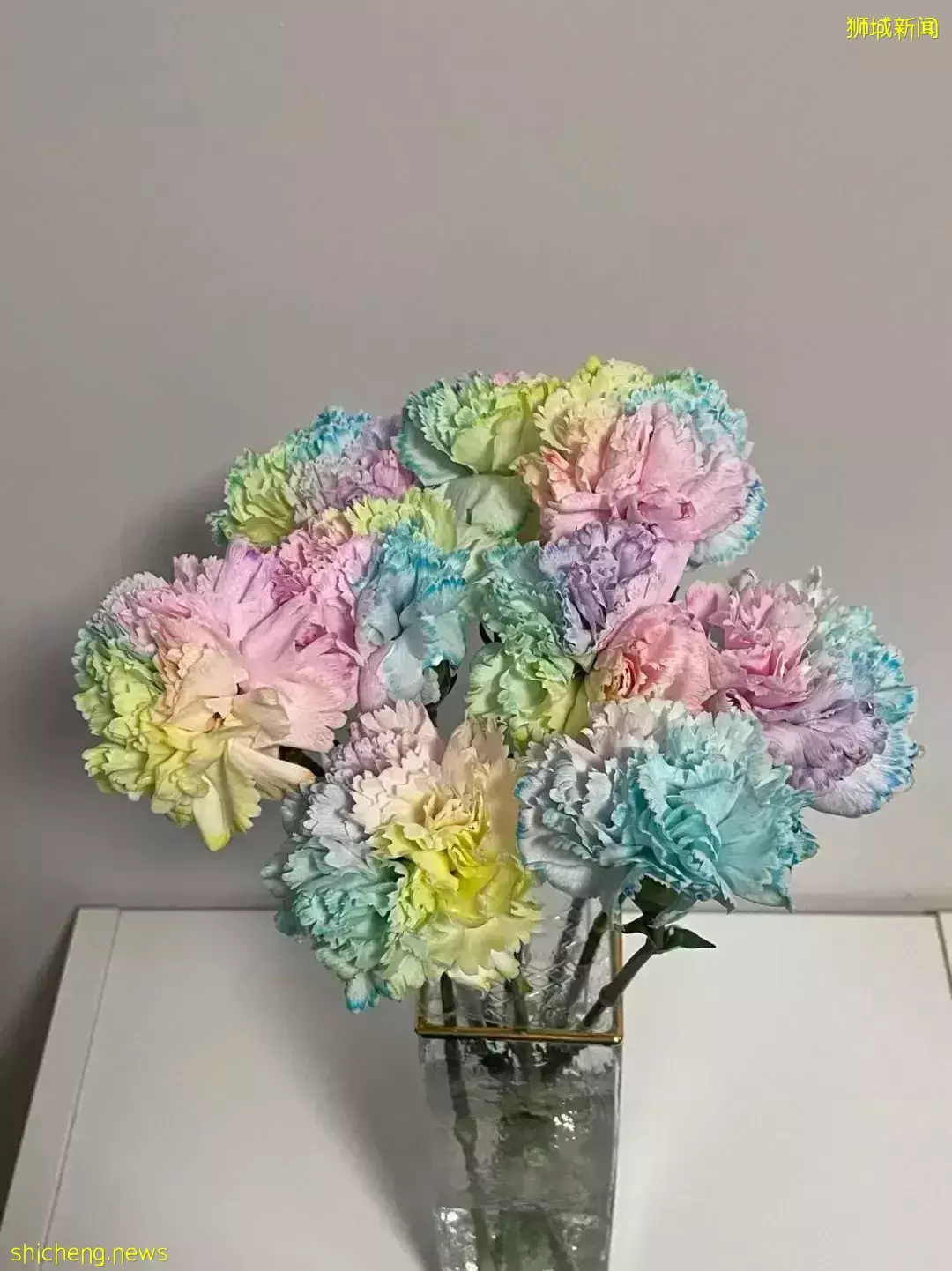 鮮花在熱帶也能養1個月？資深花友新加坡買花、養護大揭秘