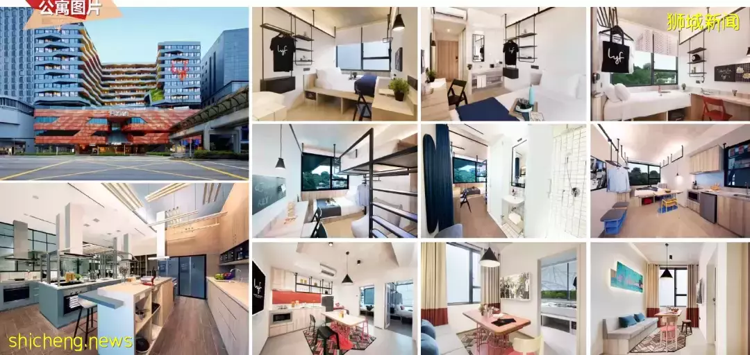 新加坡 SMU大学周边优质公寓