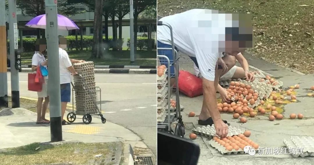 夫妇俩“囤积”鸡蛋运送途中摔一地被轰“活该”　背后竟有个感人故事