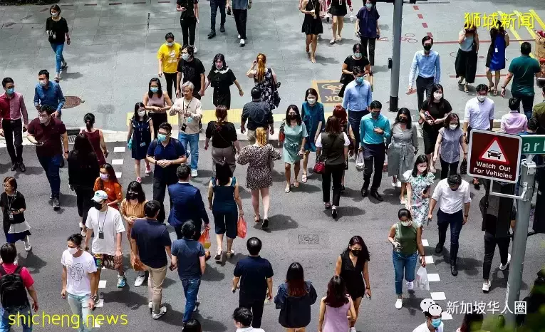 新加坡出现大批员工染疫缺勤，​工程项目延期，被迫停业