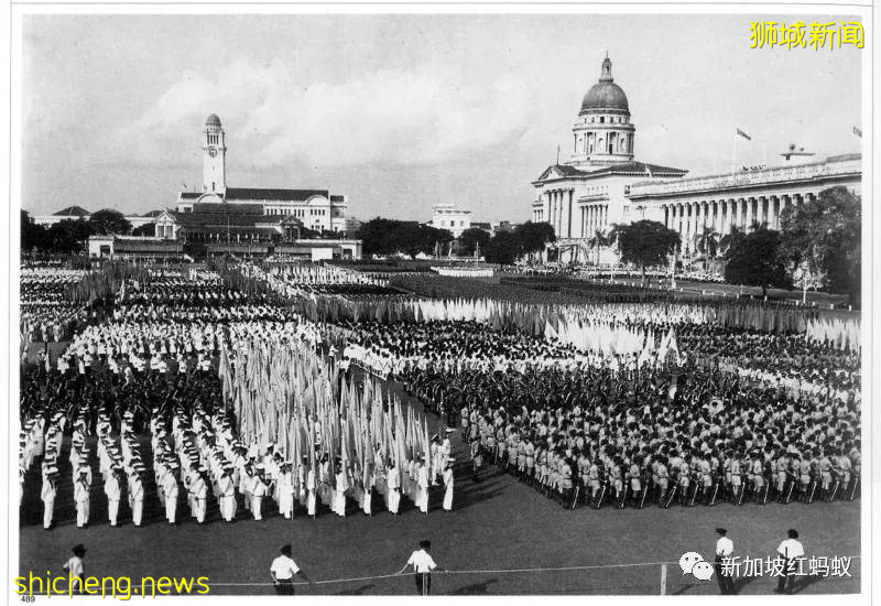 NTU美國學者：新加坡是一個被世界誤解的“小紅點”!