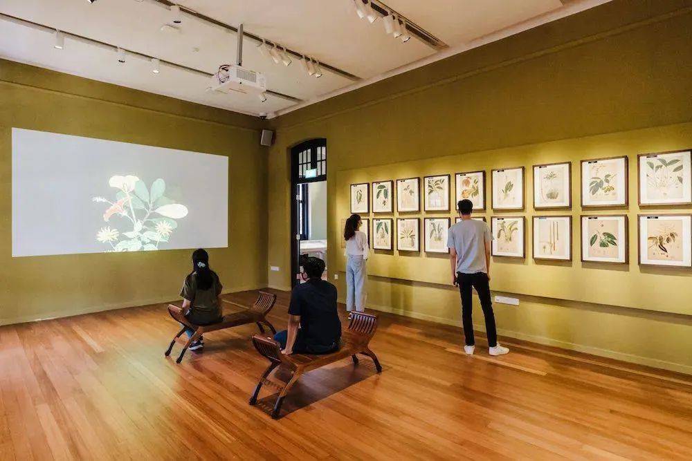 新加坡植物園爆火新景點,不知道怎麽去?手把手教你遊玩攻略