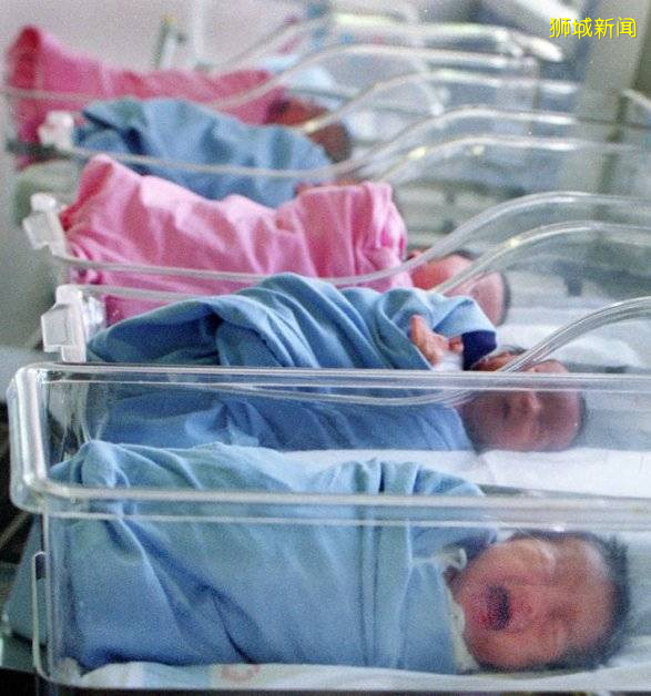 ◤新國CCB◢ 疫情催生嬰兒潮 新國懷孕人數增