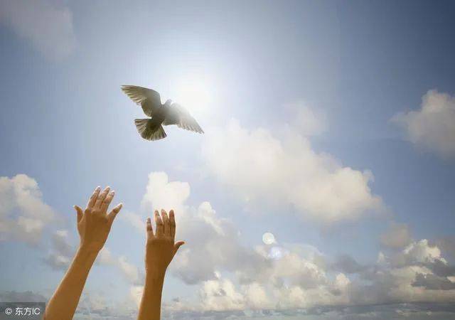 陪孩子在新加坡讀書是怎樣一種體驗