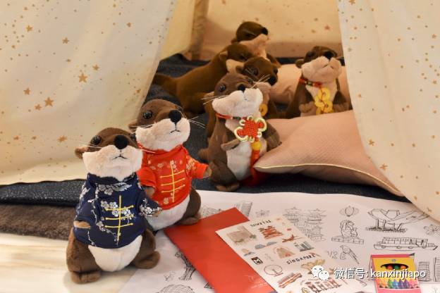 一群水獭惊现新加坡酒店,带娃带情侣开启超萌宅度假