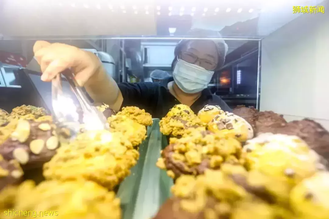 從新加坡市區至鄰裏,騎一趟時空交疊之旅