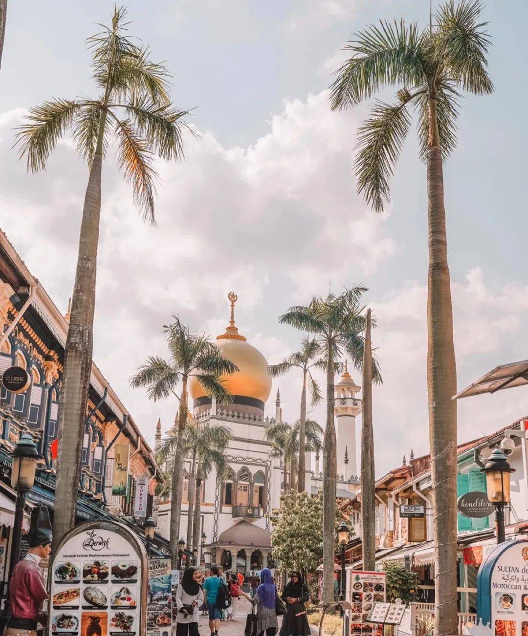 新加坡最美打卡樹集合 一起來看看吧