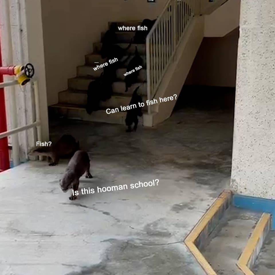 水獭家族参观教育部大楼,被保安大哥耐心劝走