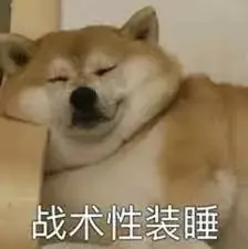 新加坡爲什麽沒有狂犬病?連本地人都不知道的一段黑曆史