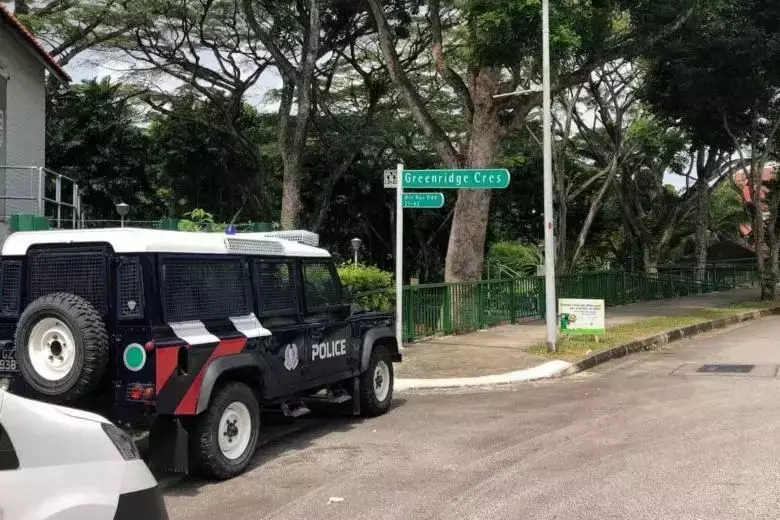 新加坡武吉知马路上段双尸案惊人反转！双胞胎亲生父亲被逮捕