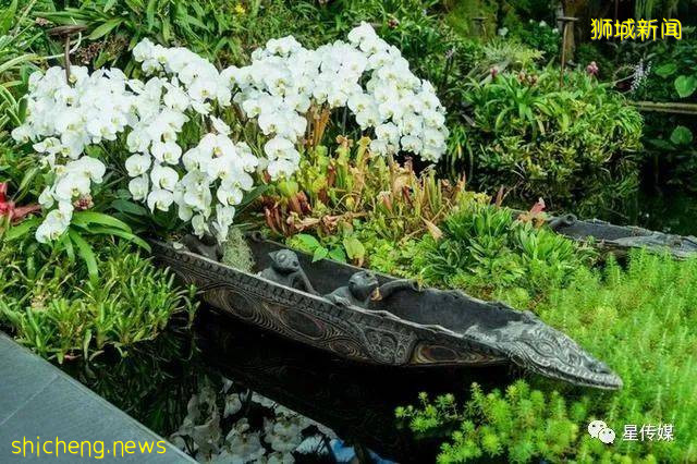 多味缤紛新加坡，旅遊攻略收藏貼