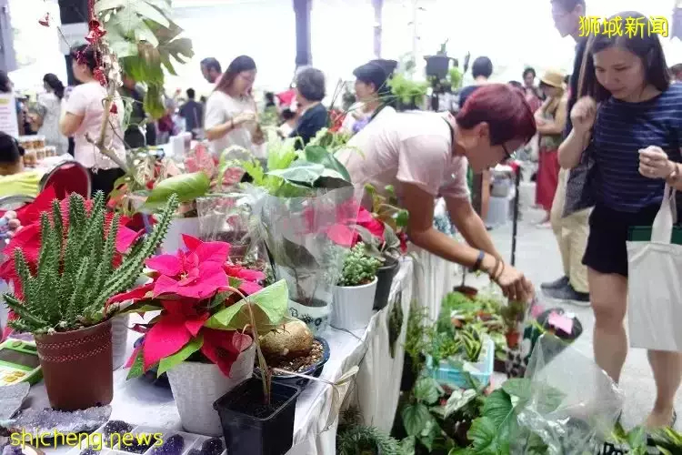 總統府開放！冰淇淋博物館門票免費！$1.9生蚝！美滋鍋5折！自助餐買1送1