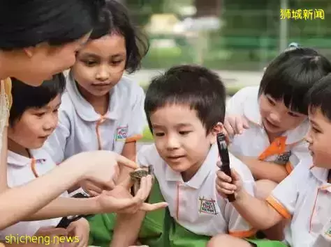 新加坡幼兒園報名已開始！相關 “疑問解答” 都在這，記得收藏