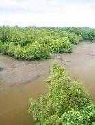 双溪布洛湿地，让疲惫的心灵得到释放