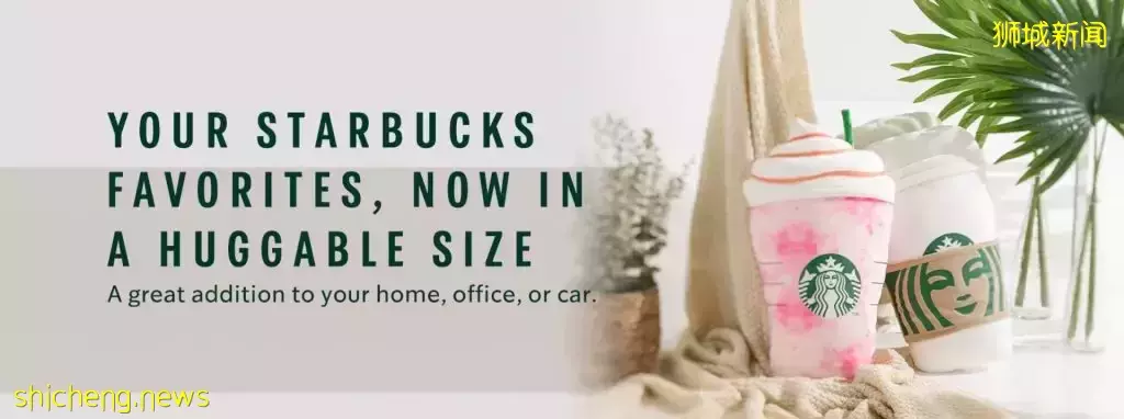 这次不出新品饮料，Starbucks抱枕已上架！抱在怀里超舒服~只限网络购买！🤩 