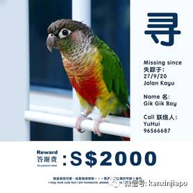 “不可能”的任务！新加坡网友重赏2000新币，只为了寻回心爱的它